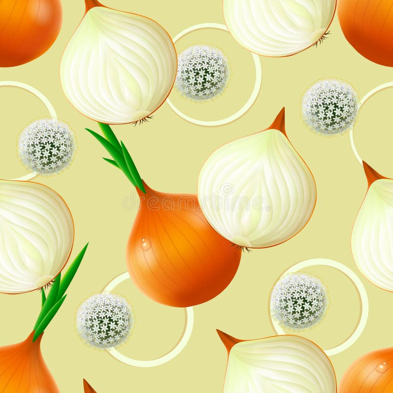 Seamless pattern with onion. Whole bulbs onion with fresh green sprouts, halves, flowers and onion rings on beige background. Vector illustration royalty free illustration Seamless pattern with onion. Whole bulbs onion with fresh green sprouts, halves, flowers and onion rings on beige background. Vector illustration royalty free illustration
