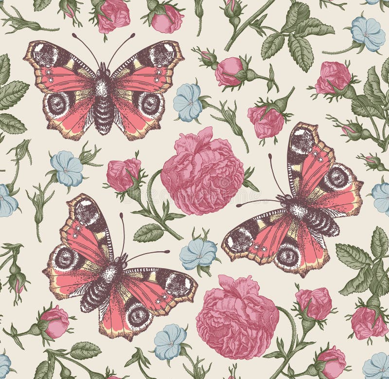 Seamless pattern peacock butterfly Realistic isolated flowers Vintage background Rose Wallpaper Drawing engraving agrostemma