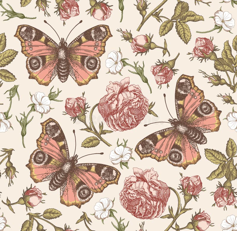 Seamless pattern peacock butterfly Realistic isolated flowers Vintage background Rose Wallpaper Drawing engraving agrostemma