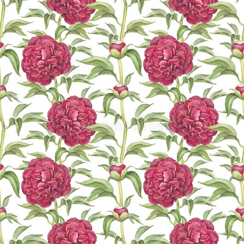 Seamless pattern with peony flowers