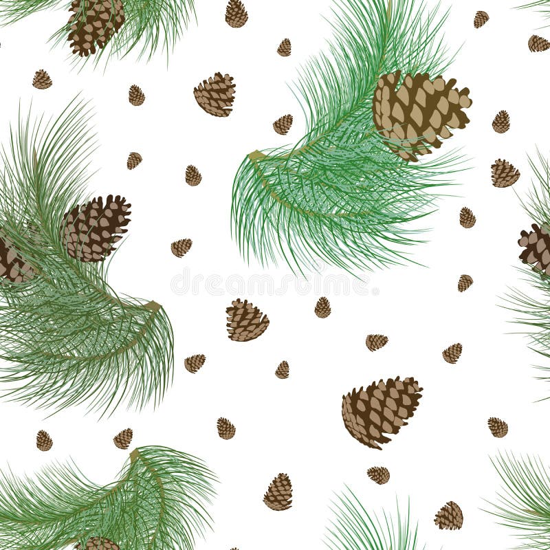 Seamless pattern with pinecones and realistic christmas tree green branches. Fir, spruce design or background for invitation