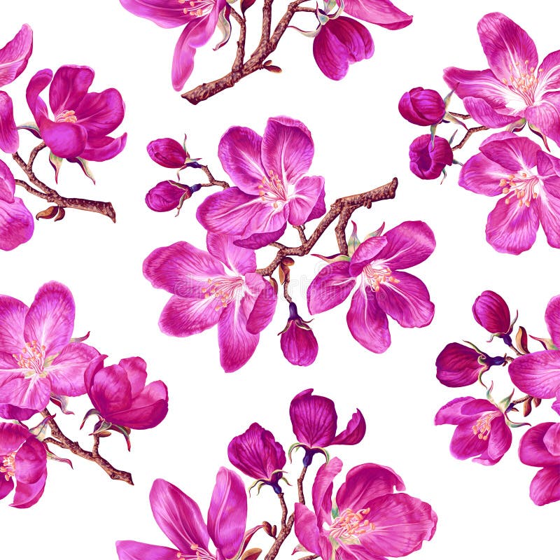 Seamless pattern with pink apple blossoms on branches. royalty free illustration