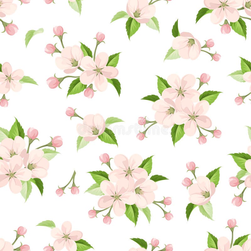 Seamless pattern with pink apple blossoms. Vector illustration. royalty free illustration