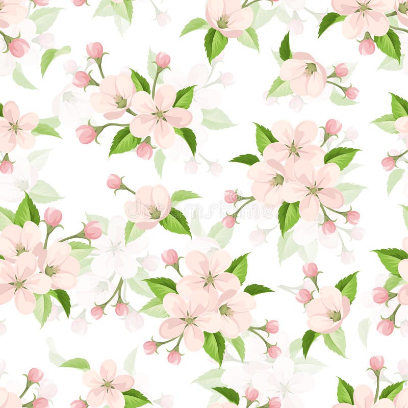 Seamless pattern with pink apple blossoms. Vector illustration.