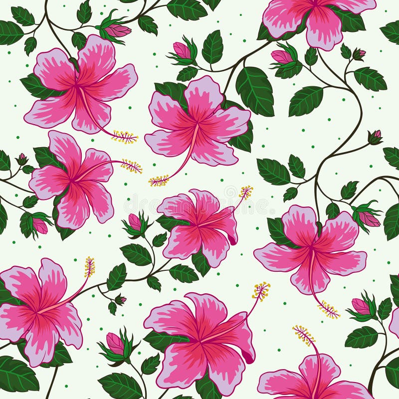 Seamless Pattern of Pink Hibiscus Flower Stock Vector Illustration of