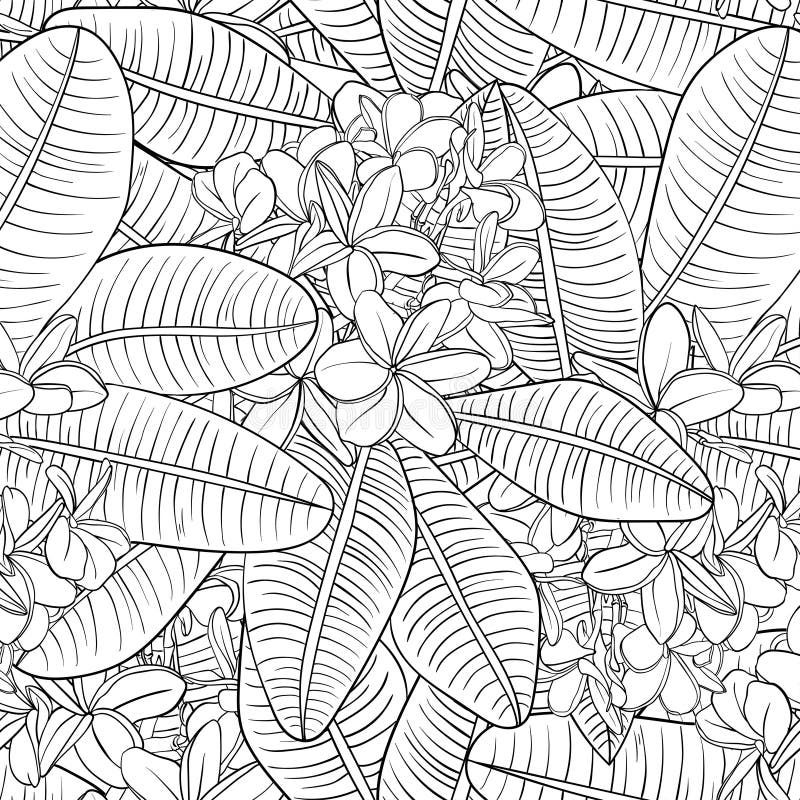 Seamless Pattern with plumeria Flowers and Frangipani.