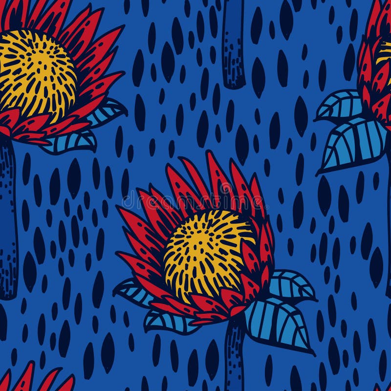 Seamless pattern with protea flowers royalty free illustration