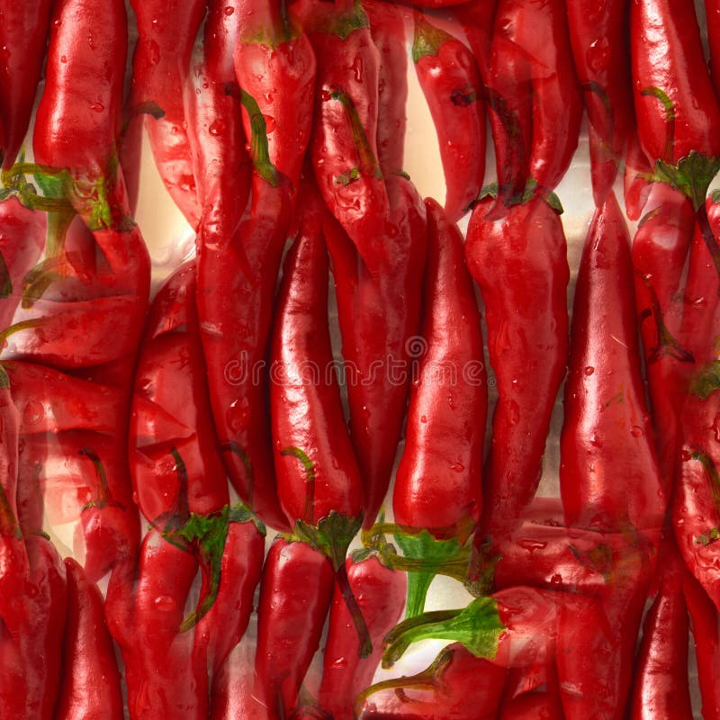 seamless pattern Red Chili pepper. isolated on white background royalty free stock photos seamless pattern Red Chili pepper. isolated on white background royalty free stock photos