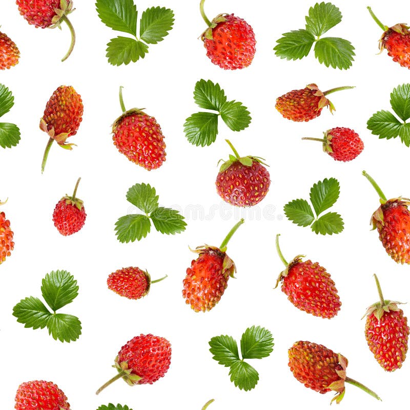 Seamless pattern of ripe wild strawberries and leaves royalty free stock photography Seamless pattern of ripe wild strawberries and leaves royalty free stock photography