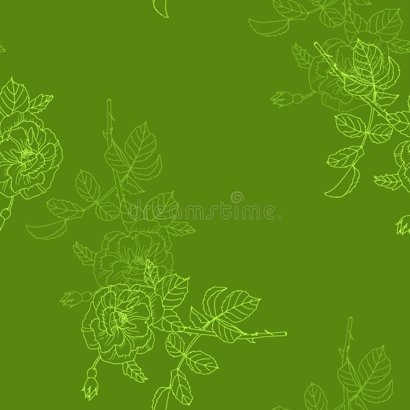 Seamless Pattern with Rose. Sketch on the Green Background Stock Photo Image of ornate