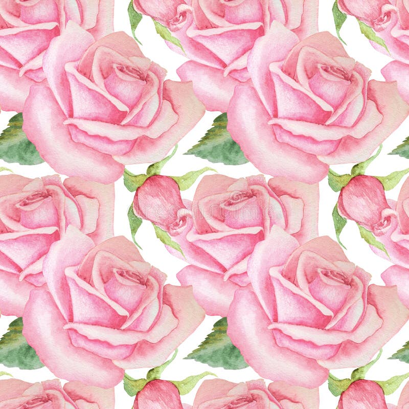 Seamless Pattern with Roses. Watercolor Hand Drawn Illustration ...