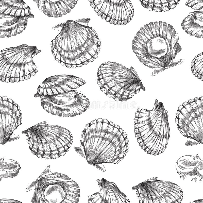 Seamless Pattern with Scallops Mollusks in Shells, Engraving Vector