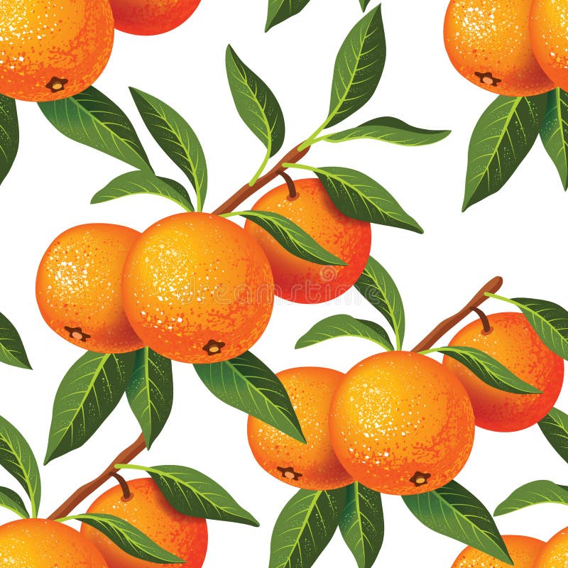 Vector Set with Tangerines Isolated on White Background. Stock Vector