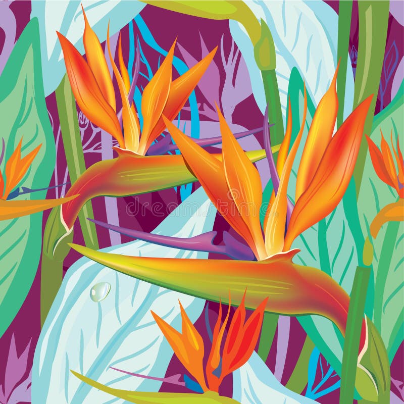 Seamless pattern with Strelitzia vector illustration Seamless pattern with Strelitzia vector illustration