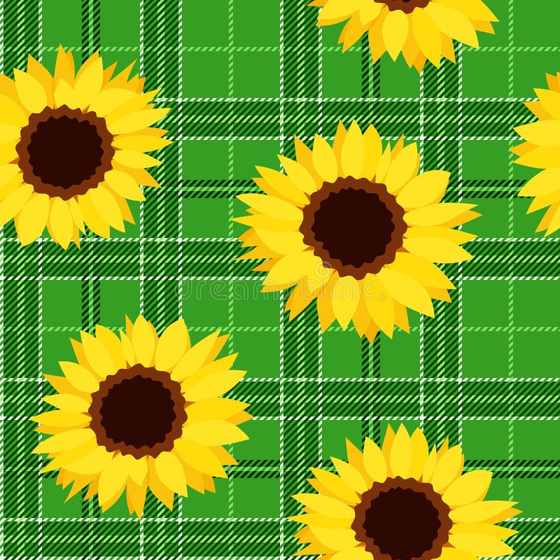 vector seamless pattern with sunflowers on green t