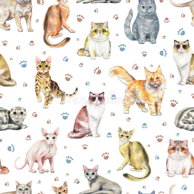 Watercolor seamless pattern with ten different breeds of cats an