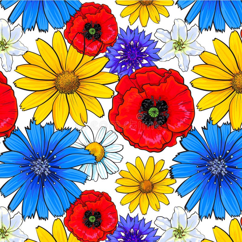 Seamless Pattern of Top View Wild and Garden Flowers Stock Vector Illustration of background