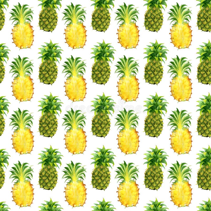 Seamless pattern with tropical exotic fruits. pineapple slice on white background