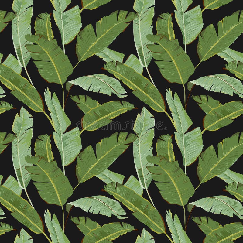 Seamless Pattern. Tropical Palm Leaves Background. Banana Leaves royalty free illustration