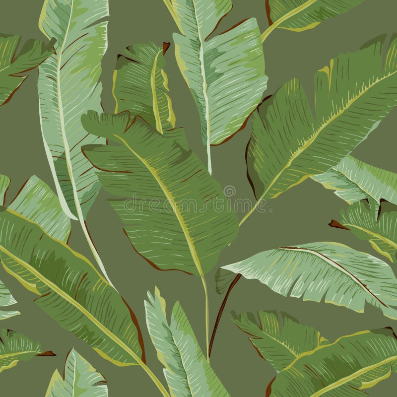Seamless Pattern. Tropical Palm Leaves Background. Banana Leaves stock illustration