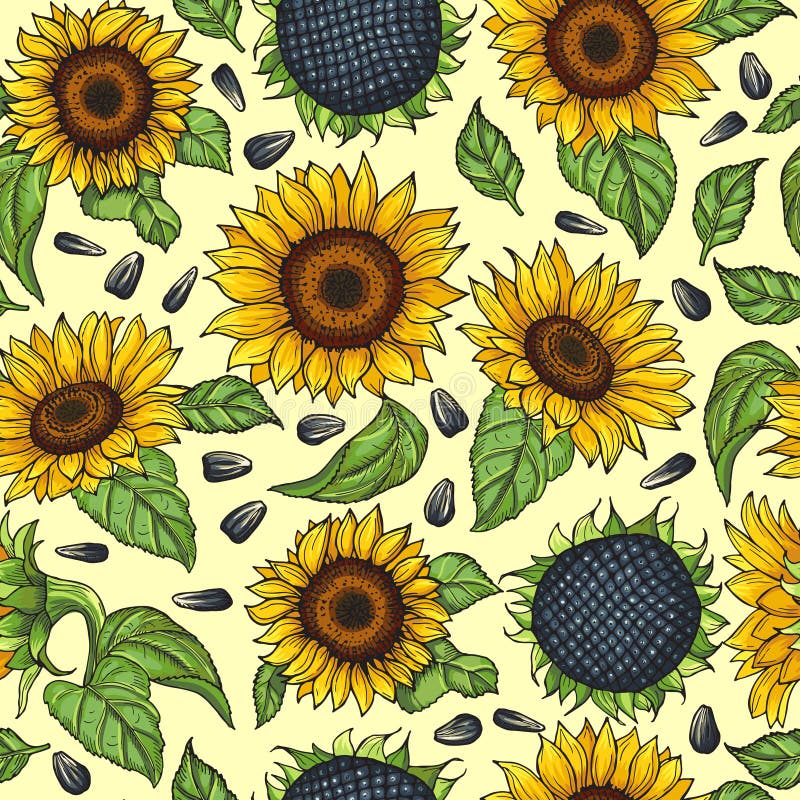 Seamless Pattern with Yellow Sunflowers. Vector Illustration Stock ...