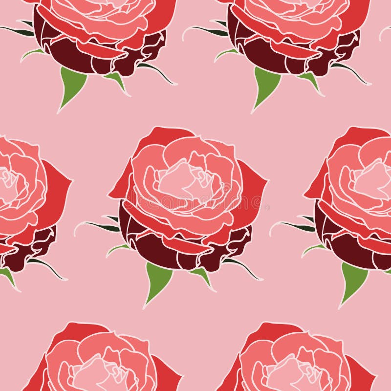 Seamless Pink Roses Pattern Stock Vector Illustration of white