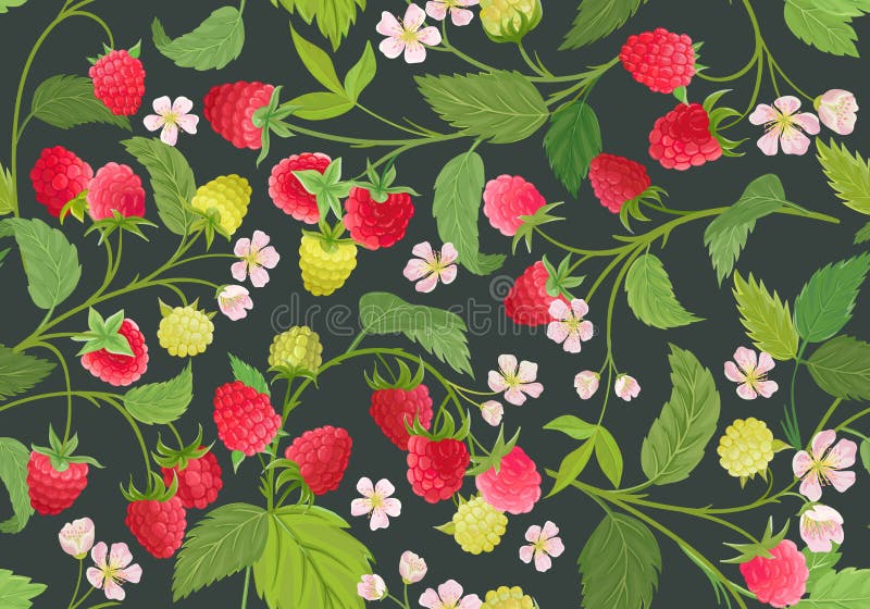 Seamless raspberry pattern with summer berries, fruits, leaves, flowers background