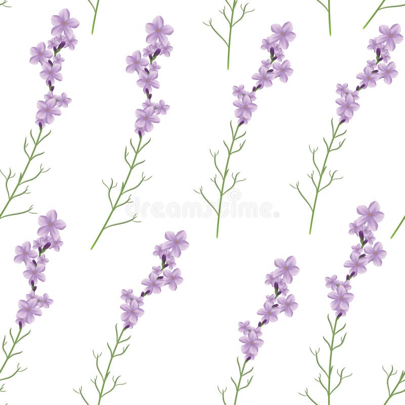 Seamless Realistic Lavender Flower Vector Illustration Pattern Stock Vector Illustration of