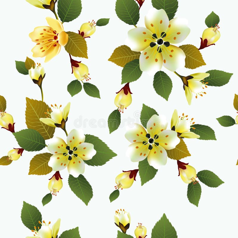 Seamless Spring Background with White Flowers with Green and Yellow