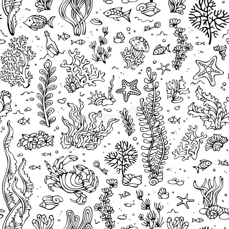 Outlined Sea Shell Stock Illustrations – 313 Outlined Sea Shell Stock