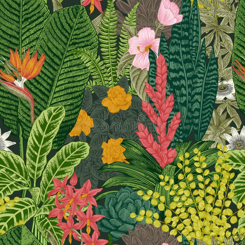 Seamless tappningmodell för vektor Exotiska blommor och växter royaltyfri illustrationer