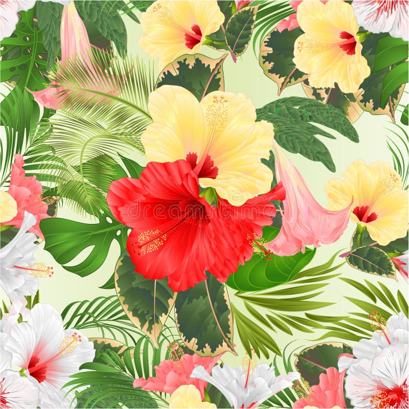 Seamless texture bouquet with tropical flowers pink red yellow and white hibiscus and Brugmansia and palm,philodendron watercolo stock illustration Seamless texture bouquet with tropical flowers pink red yellow and white hibiscus and Brugmansia and palm,philodendron watercolo stock illustration