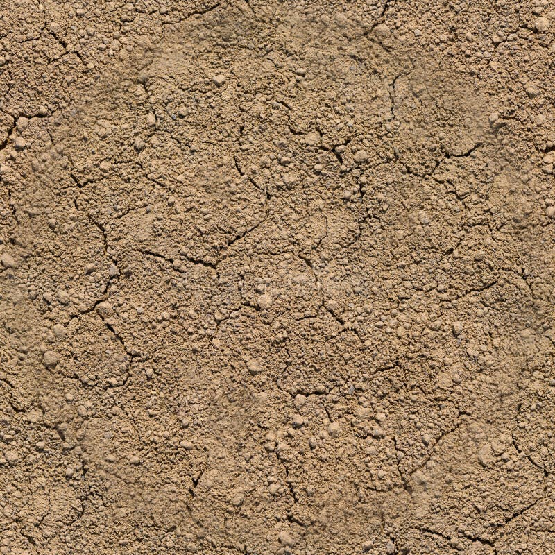 Seamless texture - dry cracked sand or clay soil stock image