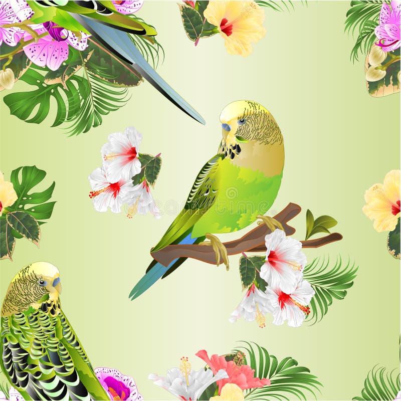 Seamless texture green parakeets Budgerigar  pets parakeet  on a bouquet with tropical flowers purple and white orchid phalenopsis