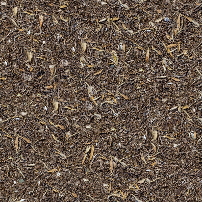 Seamless Tileable Texture of the Ground Covered with Dry Grass and Leaves. Seamless Tileable Texture of the Ground Covered with Dry Grass and Leaves.