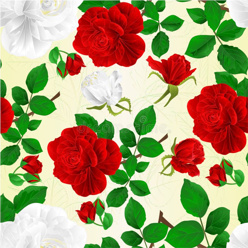 Seamless texture red and white roses with buds and leaves vintage fetive background vector illustration editable