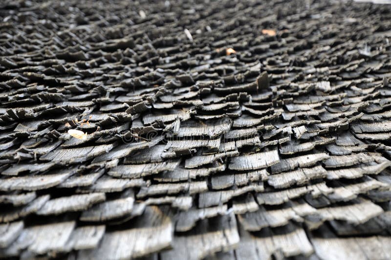 Seamless texture of shingle wooden roof
