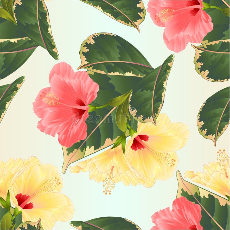 Seamless texture tropical flowers floral arrangement, with pink and yellow hibiscus and ficus natural background vintage vector royalty free illustration Seamless texture tropical flowers floral arrangement, with pink and yellow hibiscus and ficus natural background vintage vector royalty free illustration