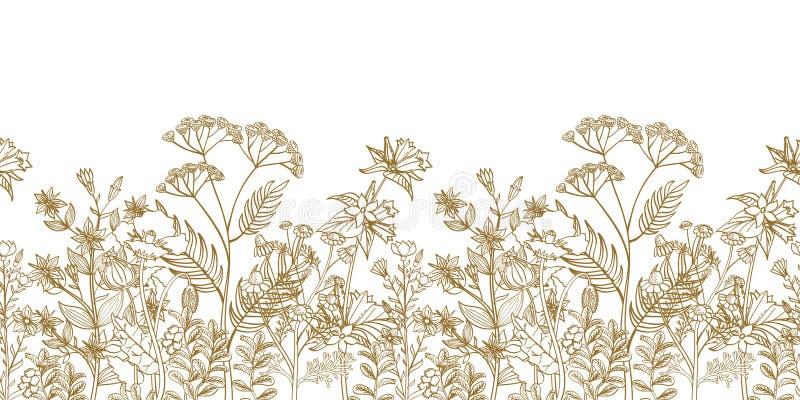 Seamless vector floral border with black white hand drawn herbs and wild flowers