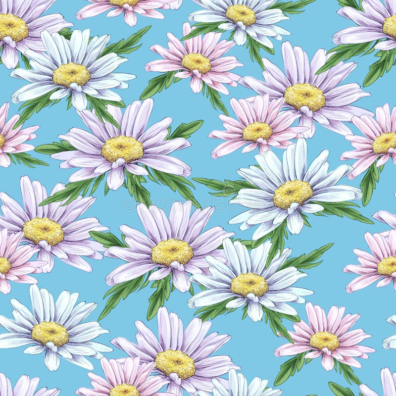 Seamless Vector Pattern with Daisies. Sketch Hand Draw Stock Vector