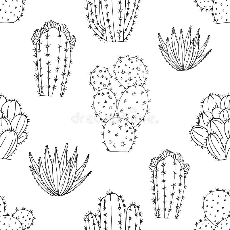 Seamless vector pattern of elements with hand drawn cacti and succulents on a white background royalty free illustration