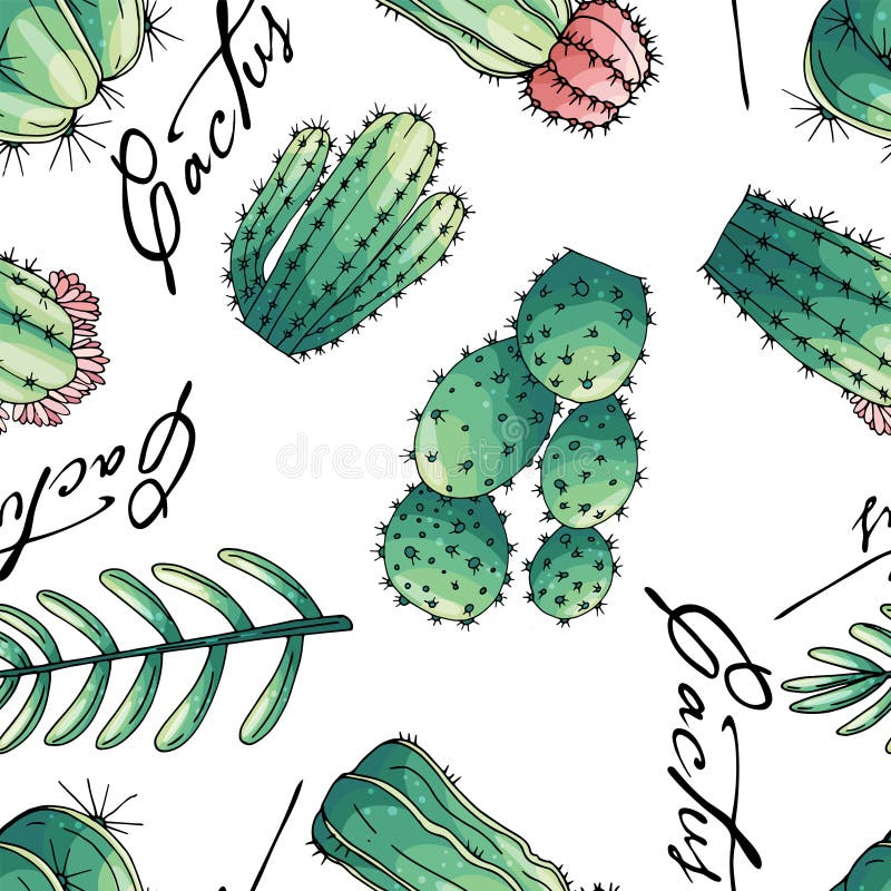 Seamless vector pattern of elements with hand drawn colored cacti and succulents royalty free illustration