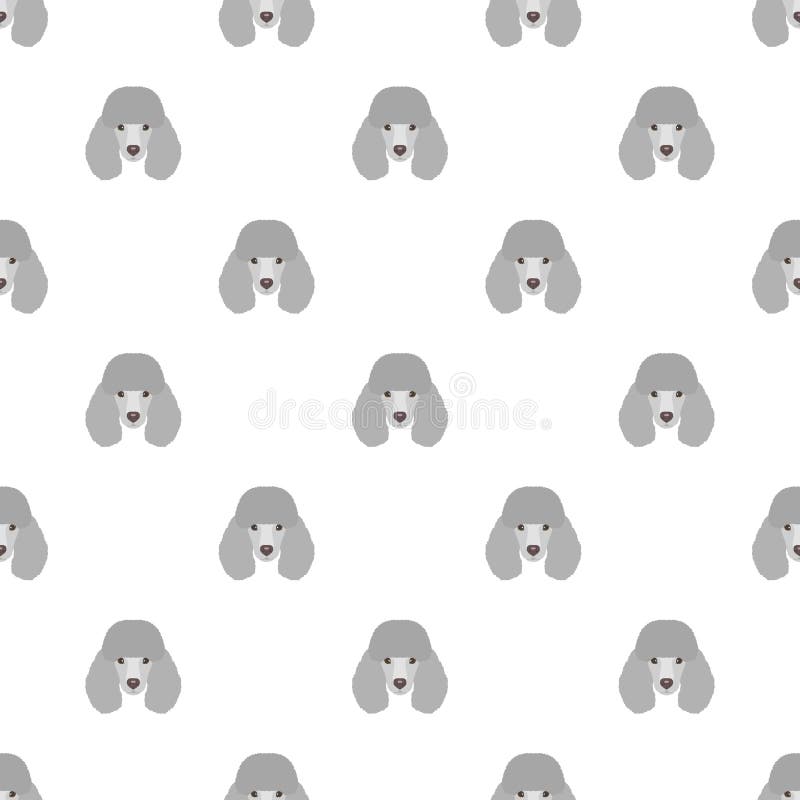 poodle wrapping paper