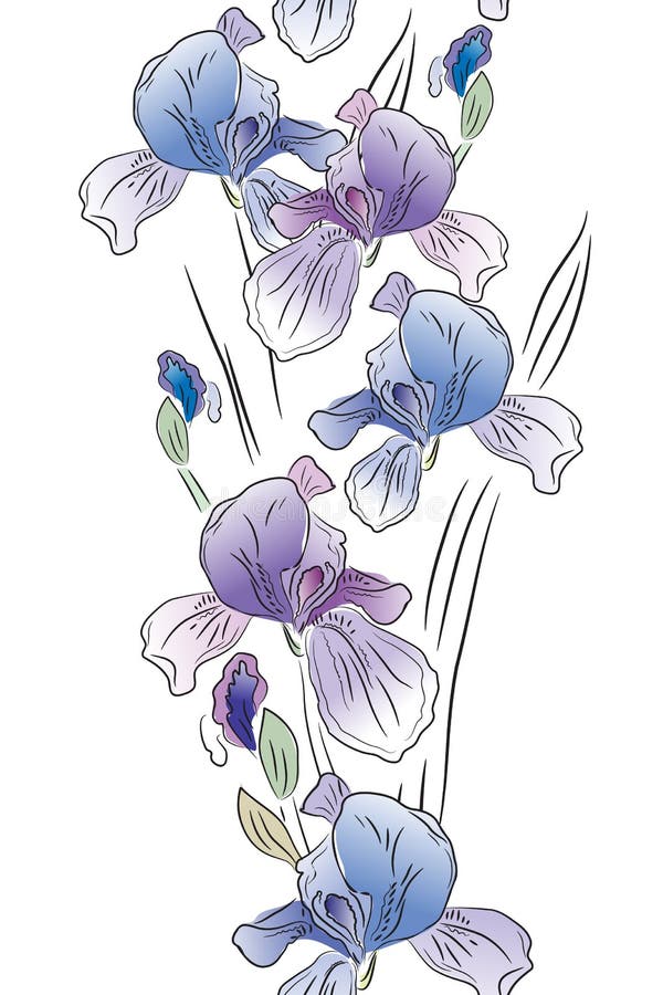 Seamless vertical border with irises stock illustration