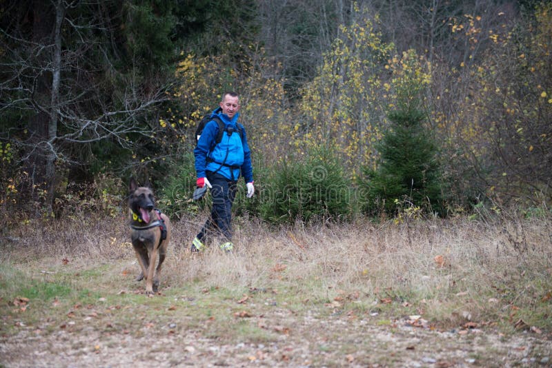 Rescuer and Dog Inspecting Woods Searching Missing Person Stock Photo ...