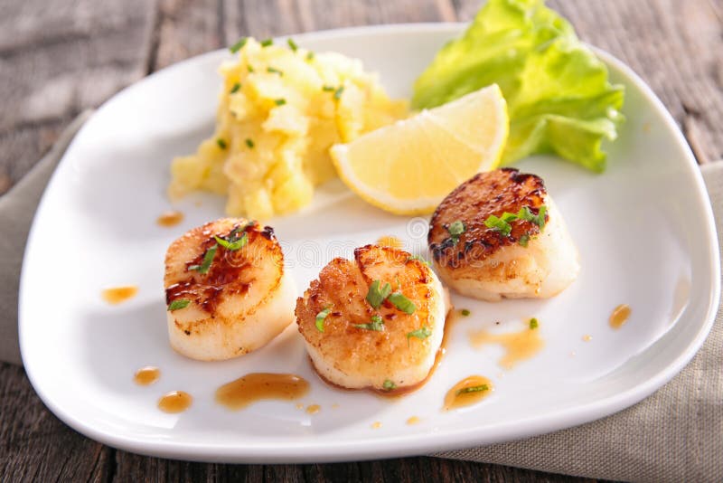 Seared scallop stock photo. Image of dining, dinner, fried 74220240