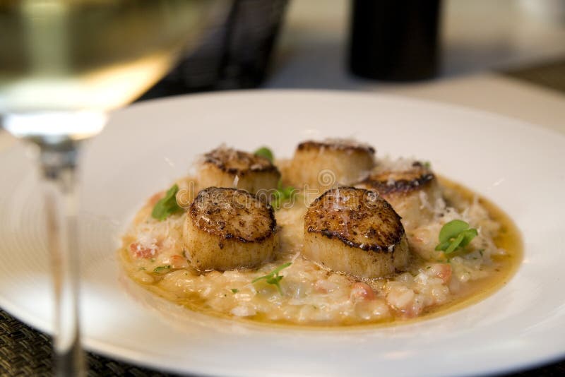 Seared scallops on a bed of risotto