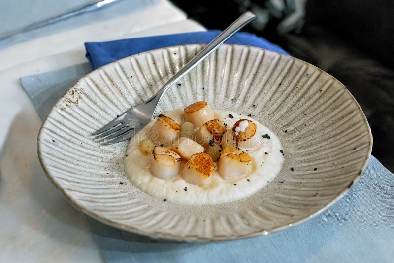 Seared Scallops on a Plate in Sauce. Restaurant Serving Stock Image Image of appetizer, flesh