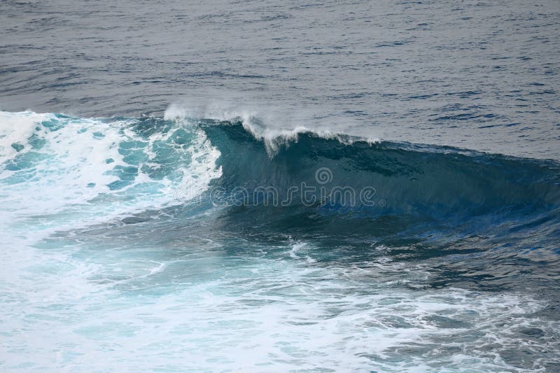 White Wave White Wave