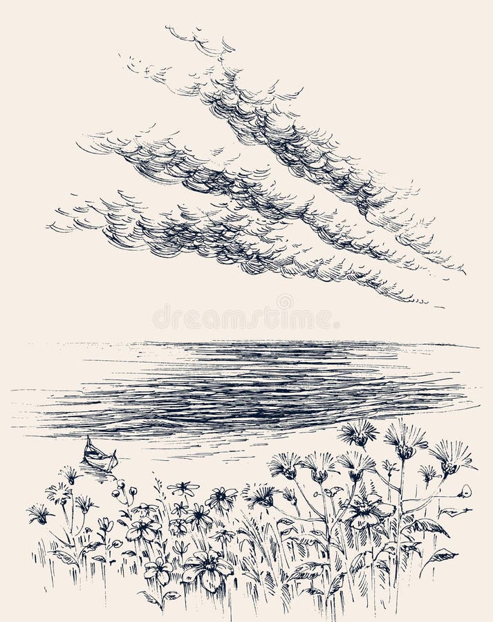 Seascape sketch with Sea rocks seagulls and sky Pen Landscape Hand  drawn illustration 21391397 Vector Art at Vecteezy